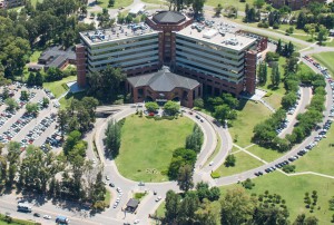 wwwfotomyacomS1010-9