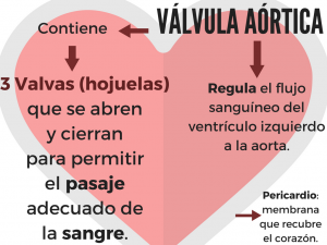 VÁLVULA AÓRTICA